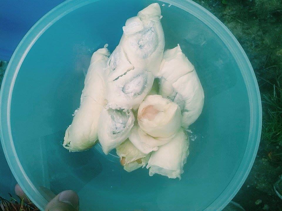 40 Best Malaysian Food And Malaysian Dishes To Try 15 malaysian food, malaysian dishes, Durian .Street food in Southeast Asia, malaysian food, malaysian dishes