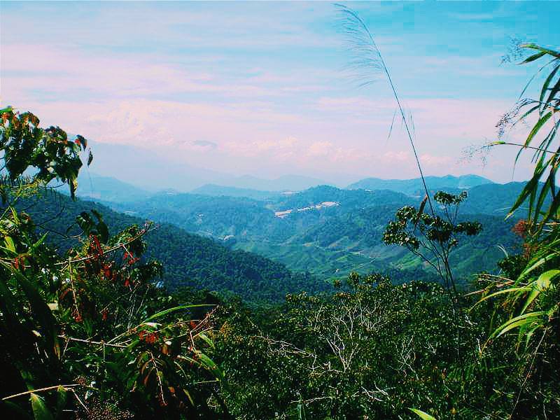 50 Malaysia Travel Tips And Things To Know Before Visiting Malaysia For First Timers 28 hitchhiking Malaysia, where to sleep in Malaysia, what to do in Malaysia, backpacking Malaysia, things to do in Malaysia, Malaysia on a budget, travel budget to Malaysia, visa for Malaysia, Malaysian food, street food in Malysia
