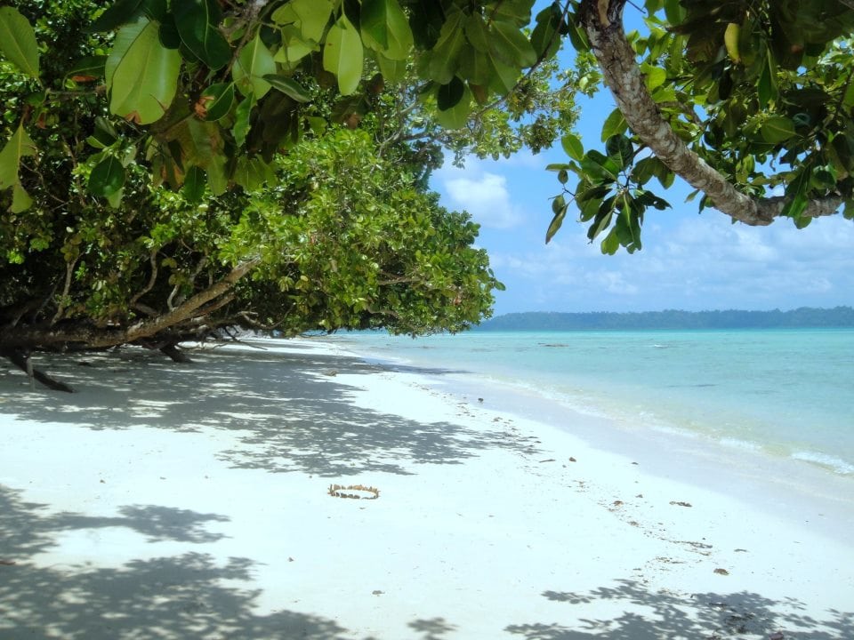 If Seychelles And Bora Bora Feels Too Expensive: Try These 15 Dreamy Island Alternatives 4 Havelock Island. Hidden Gem in Asia, Forget About Seychelles and Bora Bora: Visit These Stunning Alternatives Instead