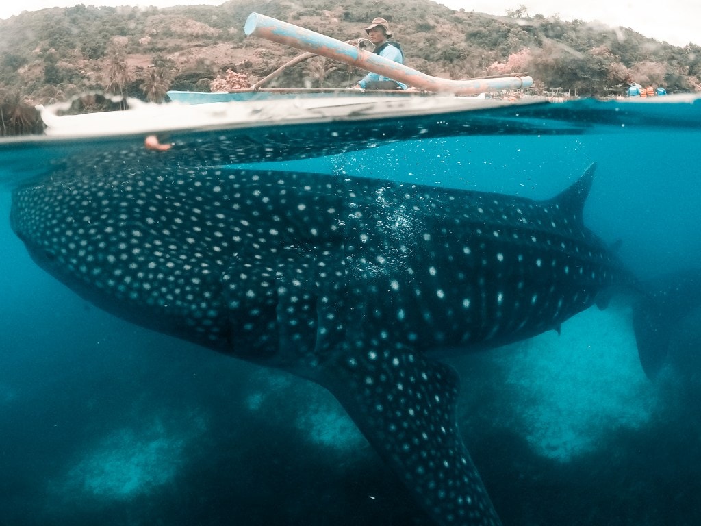 Cebu travel 2