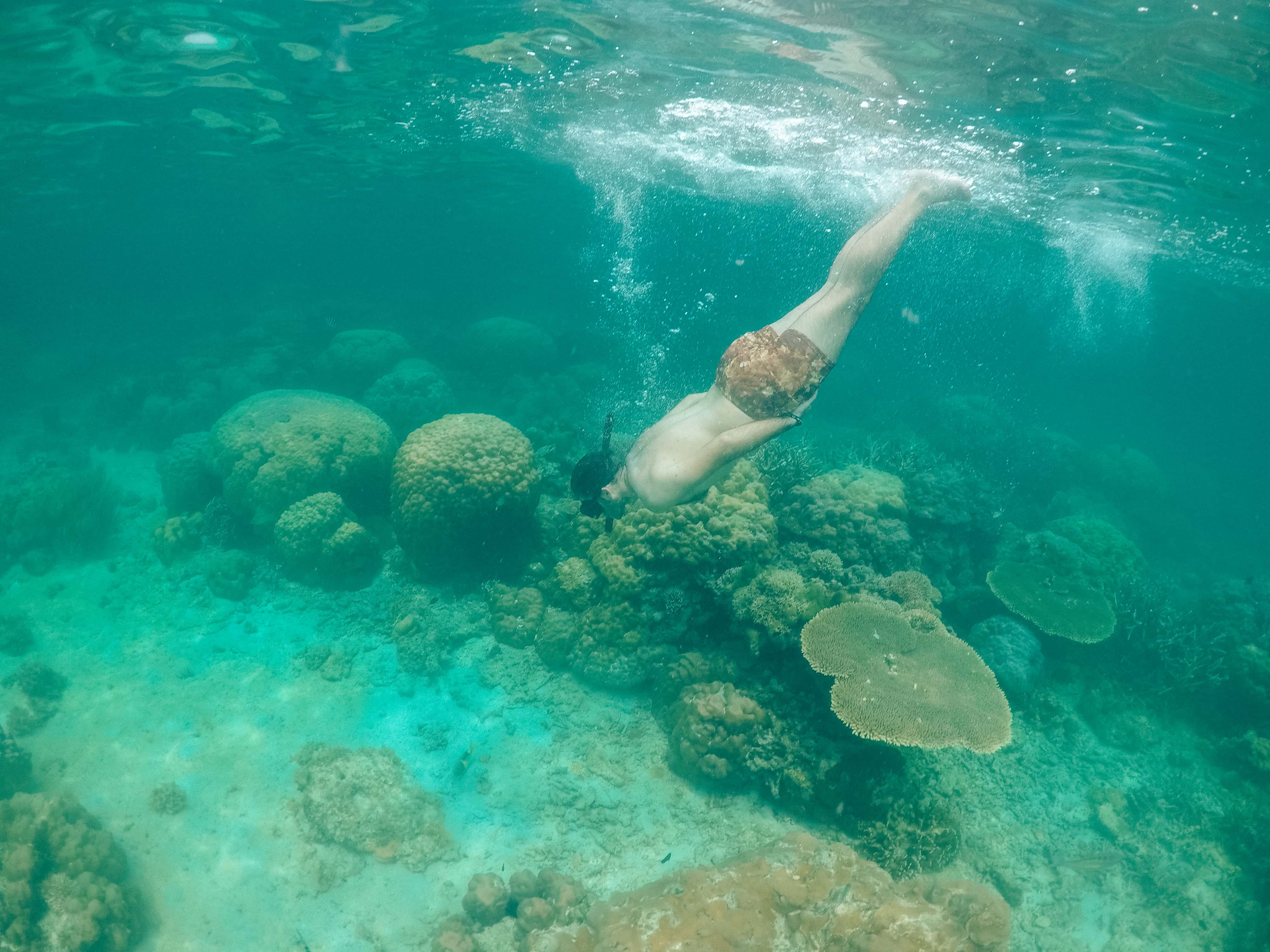 12 Awesome Things to Do In Malapascua Cebu 6 malapascua island itinerary, malapascua to kalanggaman, malapascua island accommodation, malapascua nightlife, activities to do in malapascua island, how to get to malapascua island, daanbantayan to malapascua, kalanggaman island, things to do in Malapascua