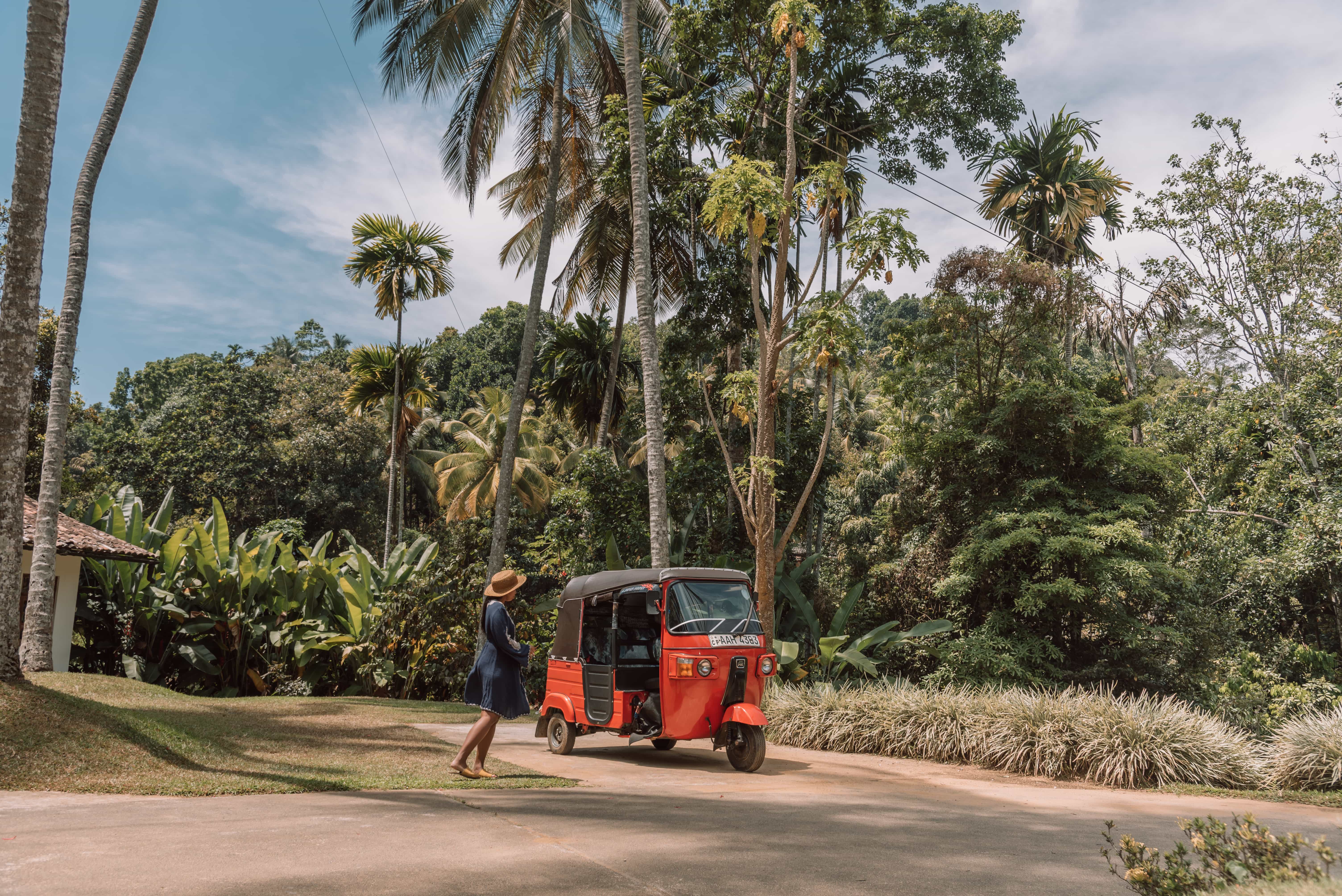 50 Amazing Things To Do in Sri Lanka 14 50 Things to do in Sri Lanka by Gamintraveler 0517