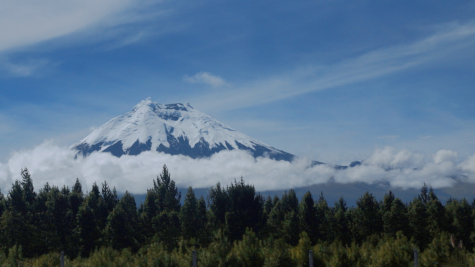Best Things to do in Ecuador (Backpacking Ecuador Travel Guide) 6 Things To do in Ecuador, places to visit in Ecuador, Ecuador travel guide, Ecuador travel itinerary, guinea pig food, where to stay in Ecuador