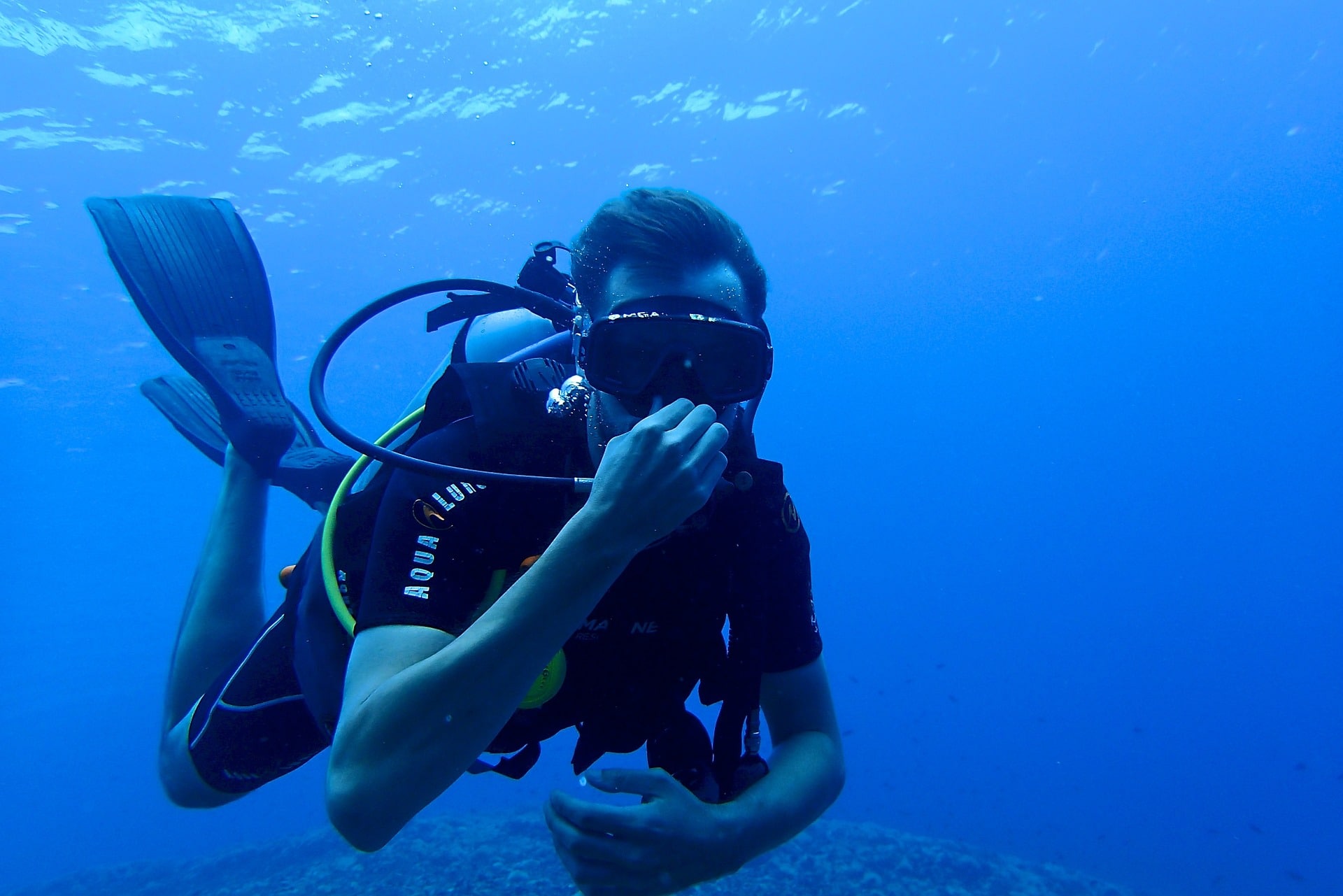 diving in Moalboal