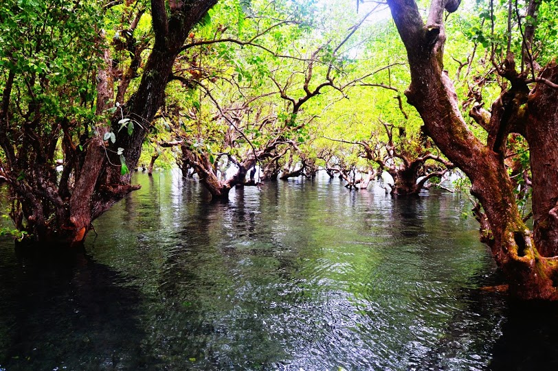 26 Best Camiguin Tourist Spots and Things to do in Camiguin 25 Lovers secret bridge, Katunggan Park