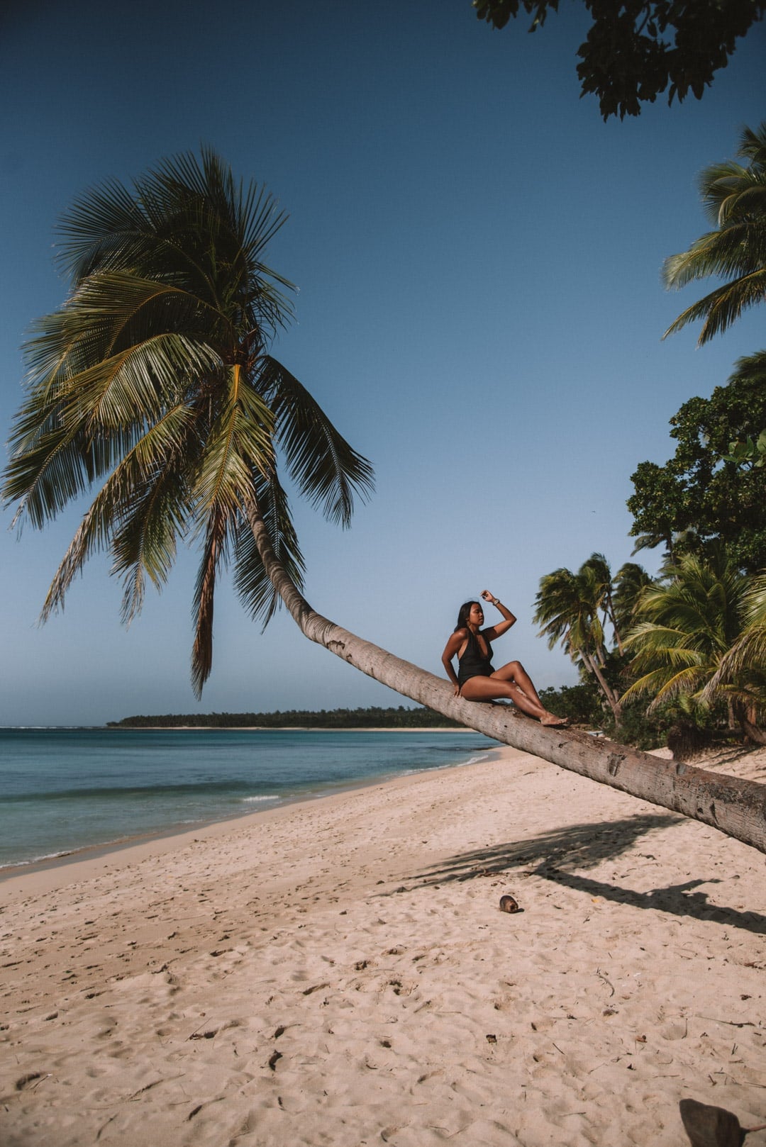 20 Awesome Pagudpud Tourist Spots And Things to do in Pagudpud 27 things to do in Pagudpud, climbing a palm tree