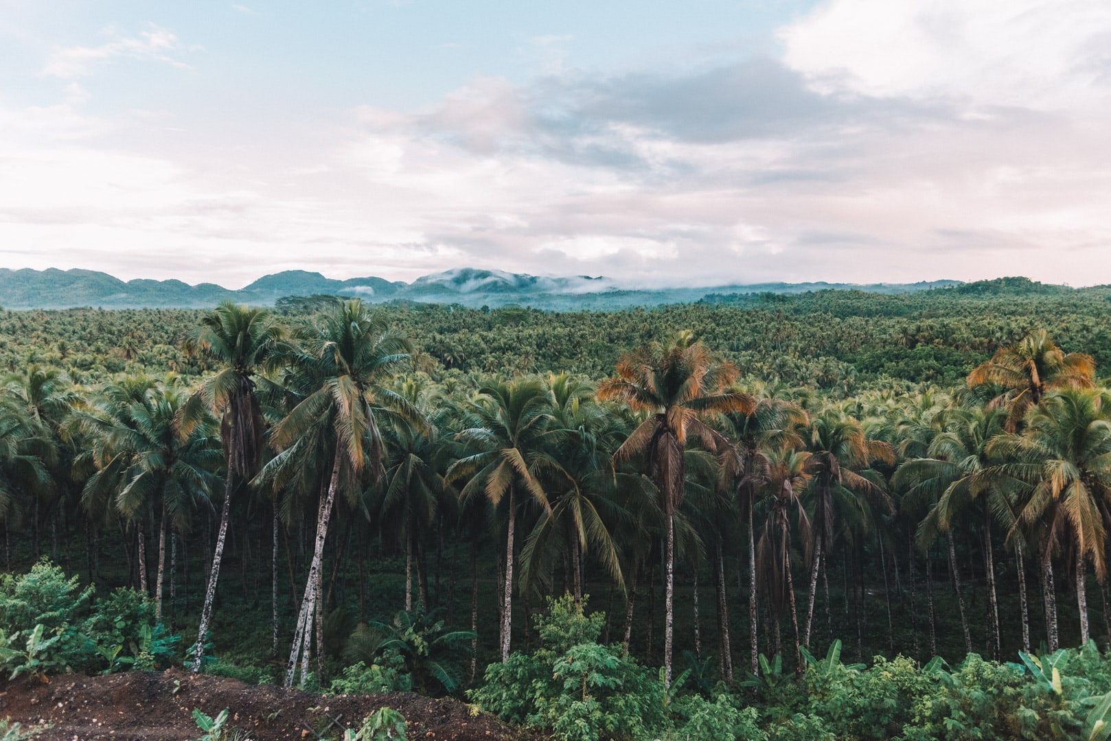 How To Get From Cagayan de Oro To Siargao Best Way 2 How To Get From Cagayan de Oro To Siargao, How to get to Alegria Beach