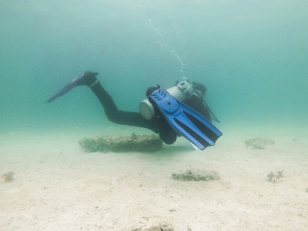 A Perfect 2 Days Puerto Galera Itinerary 11 Things to do in Puerto Galera, Diving in Puerto Galera, Puerto Galera Itinerary