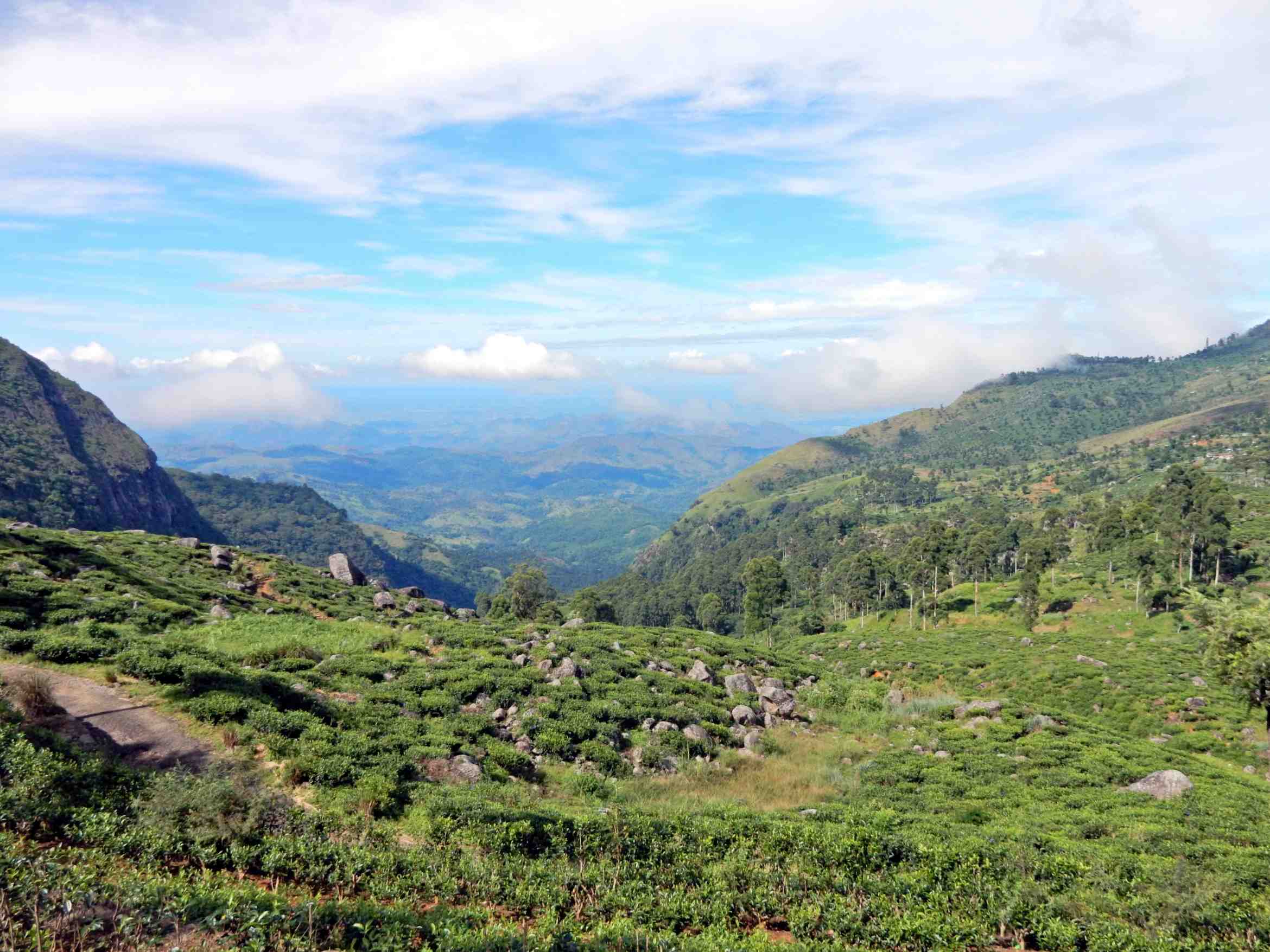 Sri Lanka Bucket List - 25 Best Places to Visit in Sri Lanka 11 Sri Lanka tourist spots, Haputale