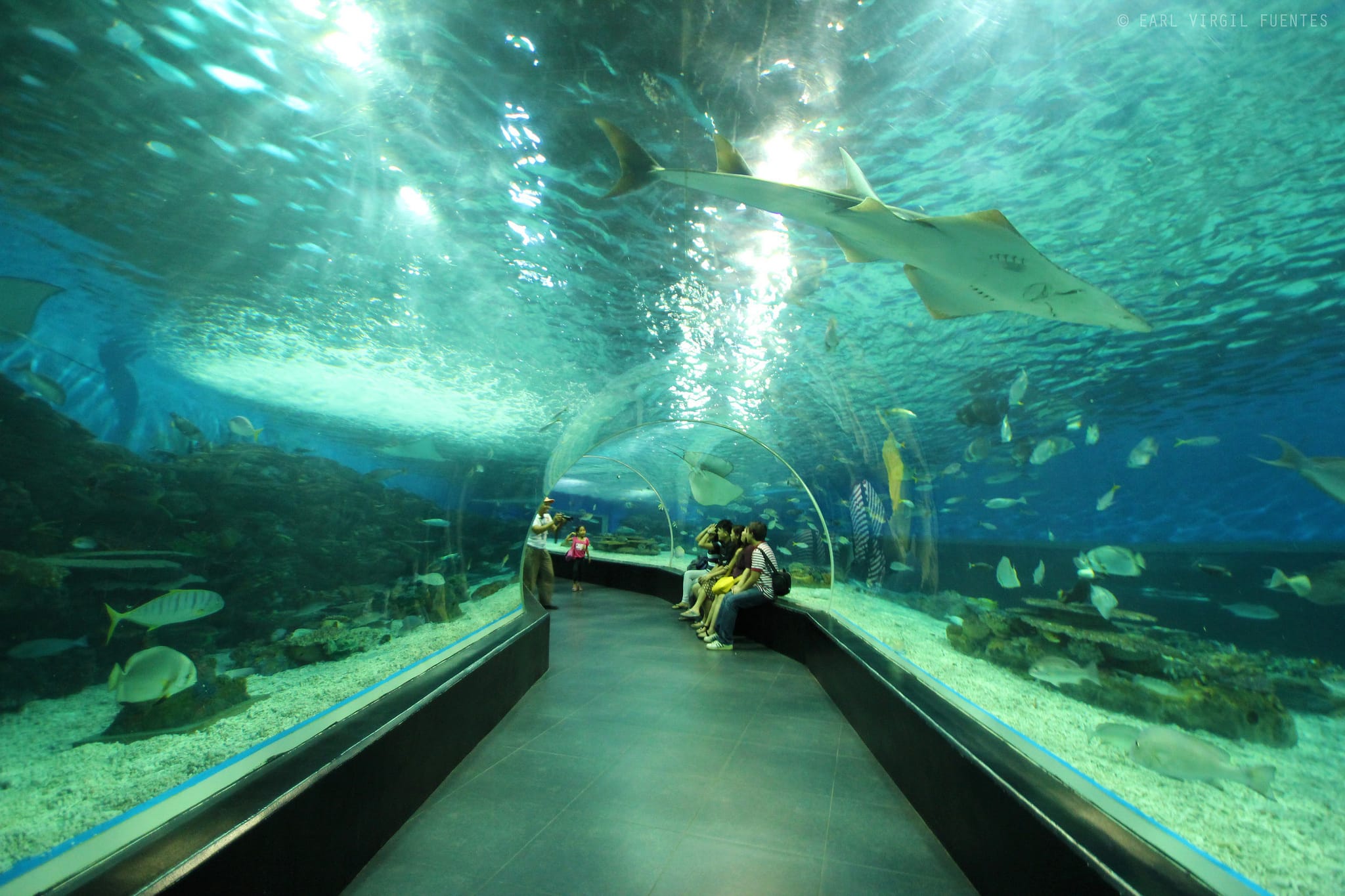 Manila Itinerary: 25 Best Manila Tourist Spots And Things to do in Manila 11 Manila tourist spots, Manila Ocean Park