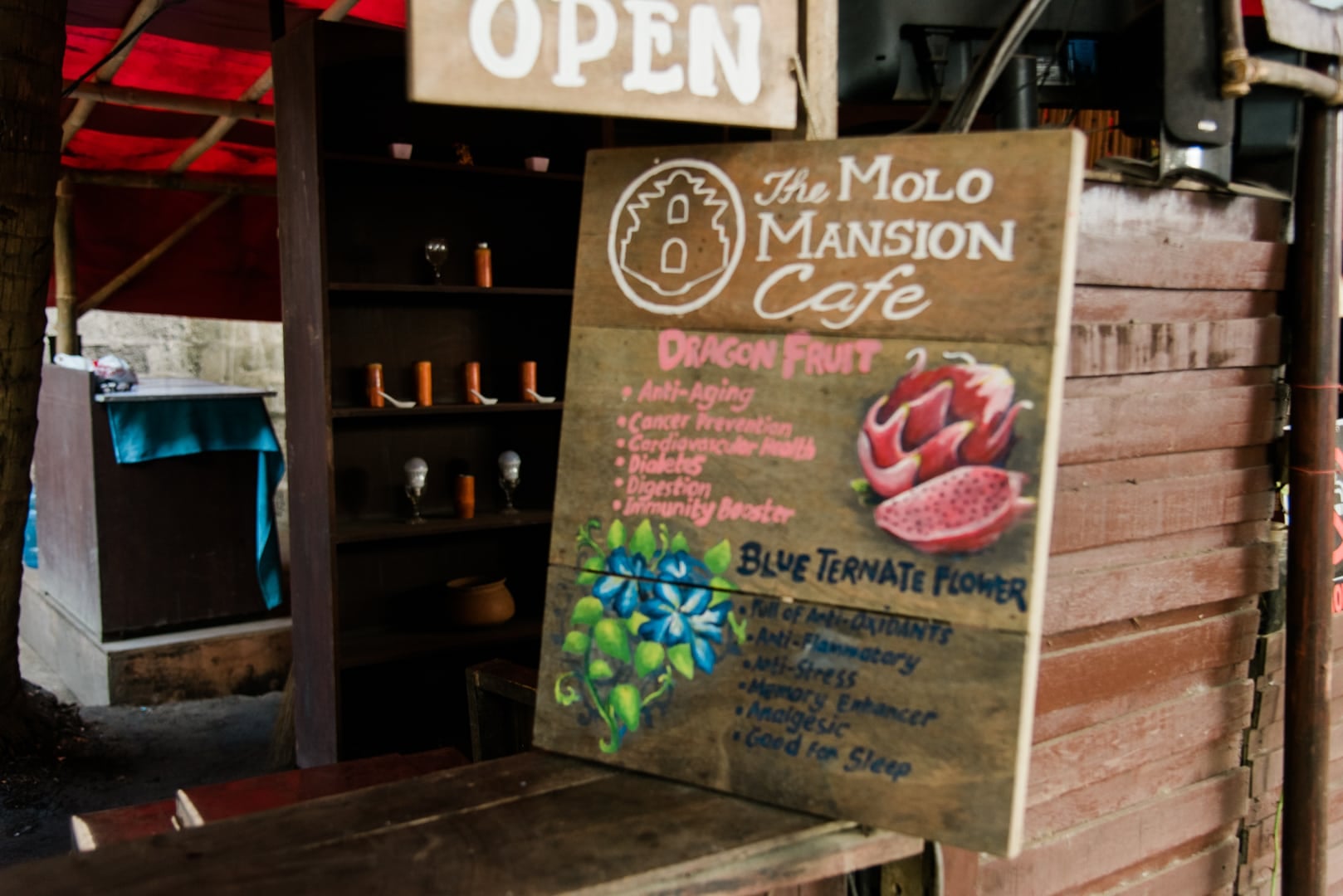 21 Best Iloilo Tourist Spots and Things To Do in Iloilo (Travel Guide) 25 things to do in iloilo, iloilo tourist spots, what to do in iloilo, where to stay in iloilo, what to eat in iloilo, iloilo itinerary, iloilo city travel guide, Molo Mansion, Molo Mansion Cafe