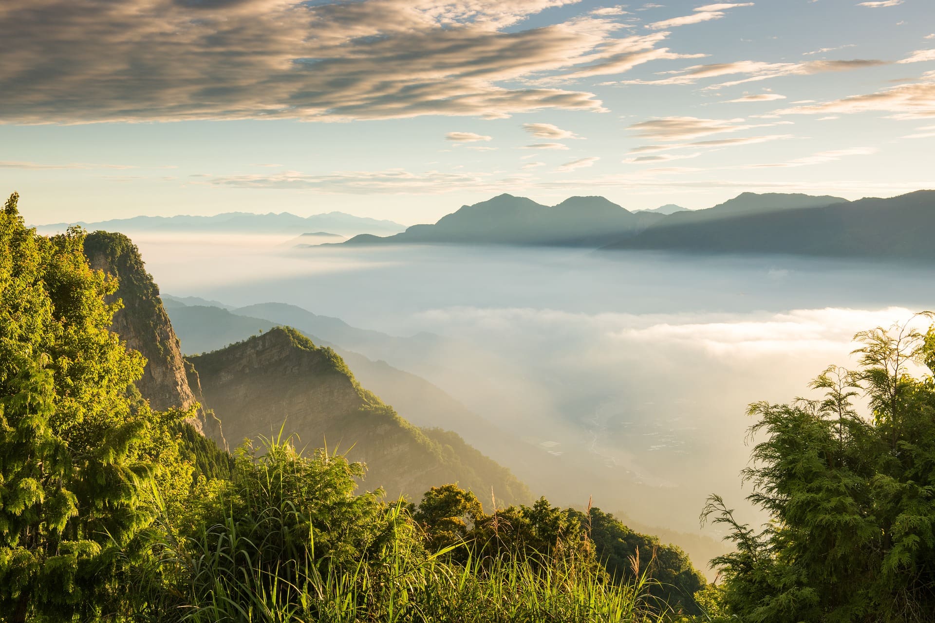 A Perfect One Week Taiwan Itinerary 16 Alishan Mountain, Taiwan tourist spots, Taiwan itinerary