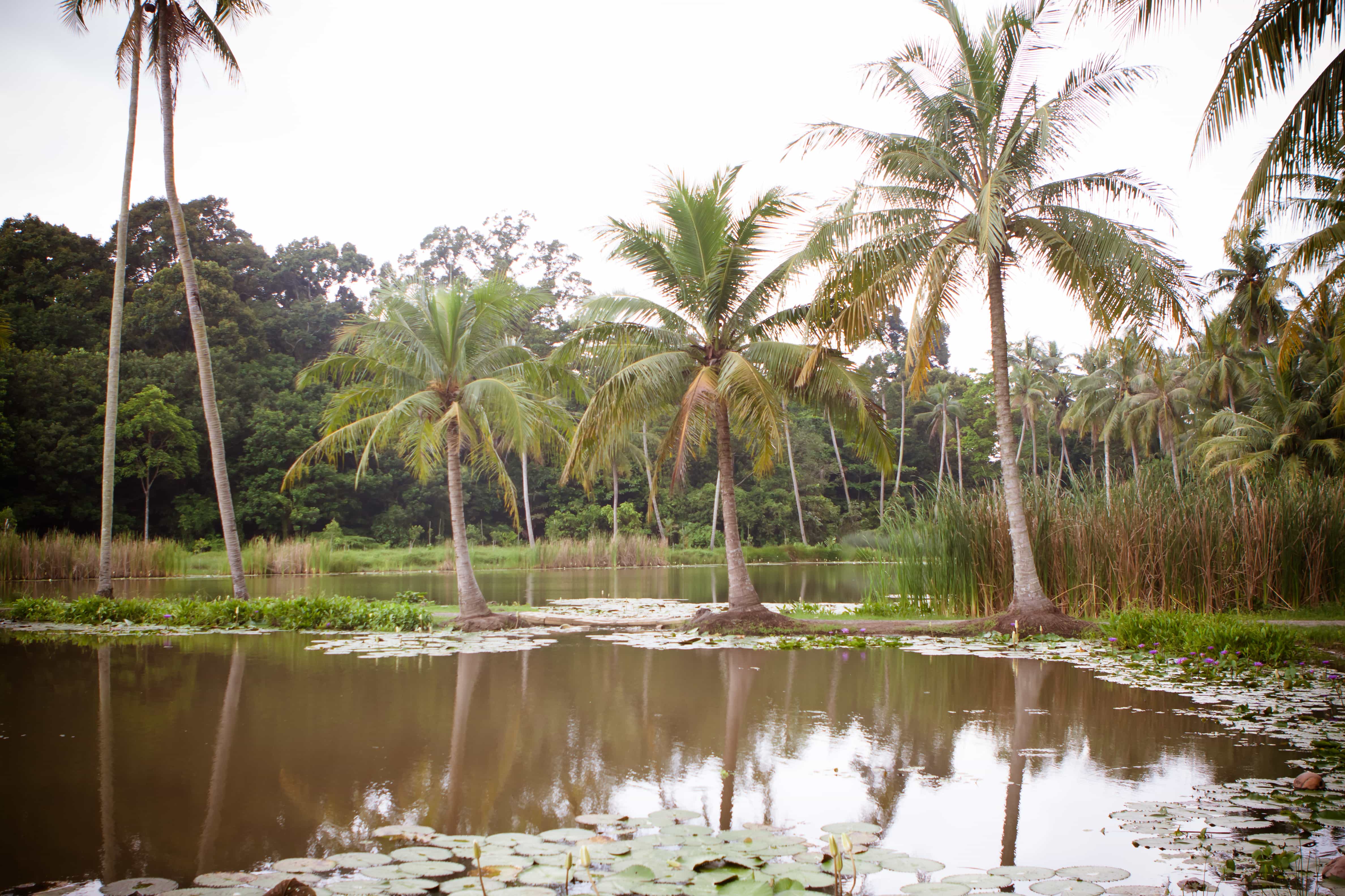30 Best Places to Visit In Singapore 20 Pulau Ubin, Singapore tourist spots