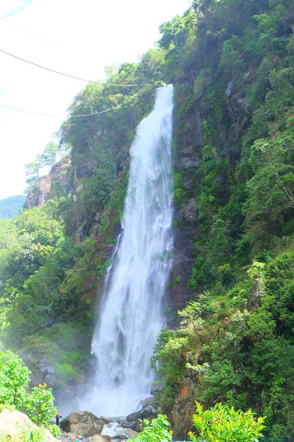 DSCF3243