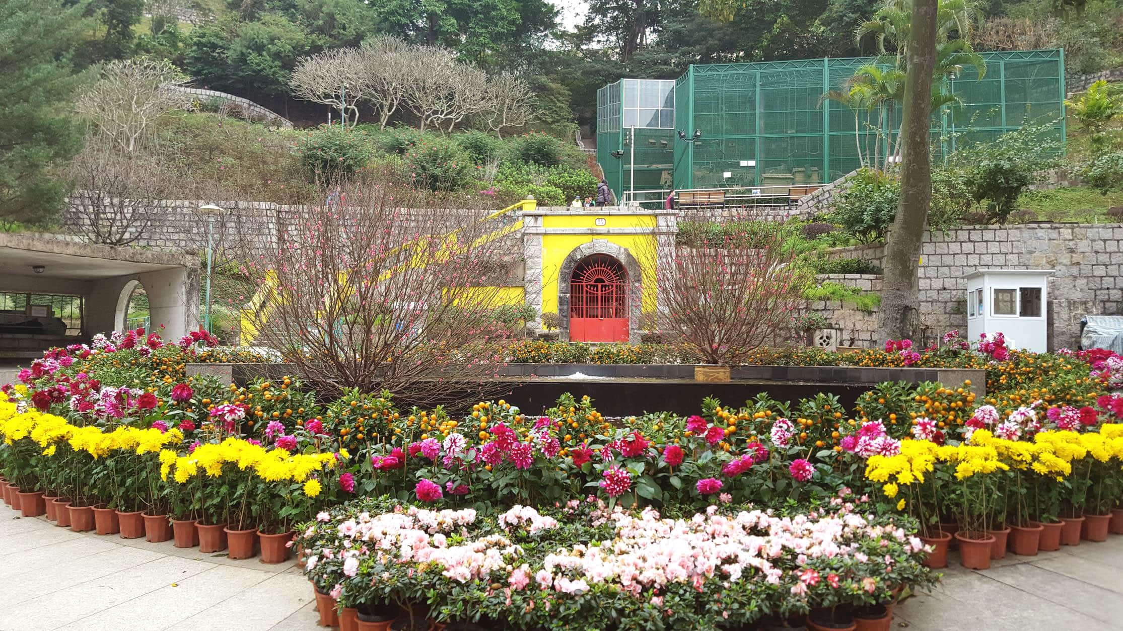 18 Best Things To do in Macau And Macau Tourist Spots 19 Flora Garden 03