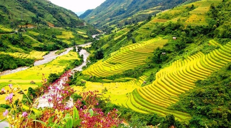 The Reasons Some Travelers Regret Visiting Vietnam: Why Vietnam Can Be a Dream Trip for Some and a Nightmare for Others 6 15 Reasons Why You Might Think Twice About Visiting Vietnam