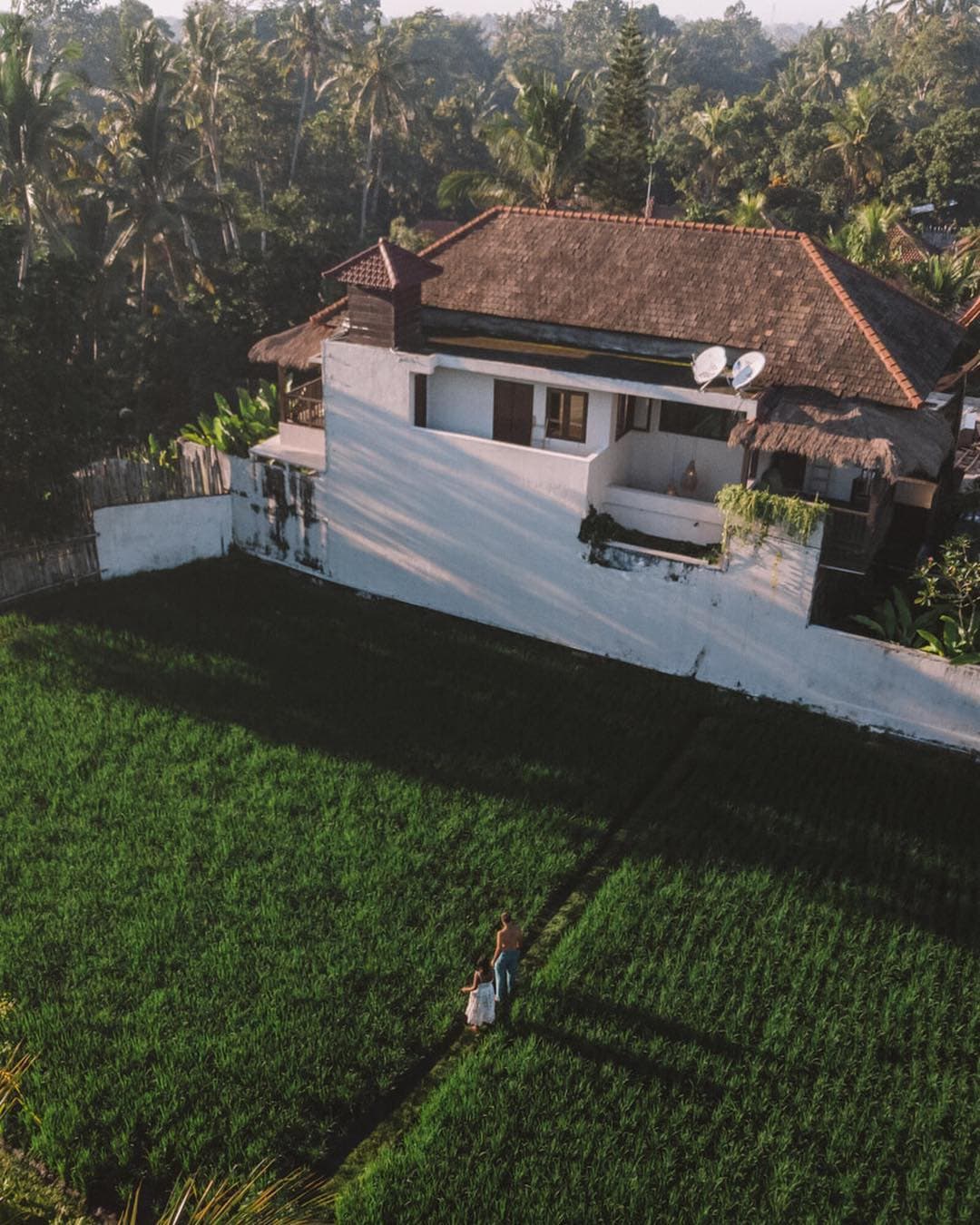 A Perfect 3 Days Ubud Itinerary And Day Trips 9 Affordable luxury villas in Bali, Ubud, Rumah Suweta, Affordable Family Villas in Ubud