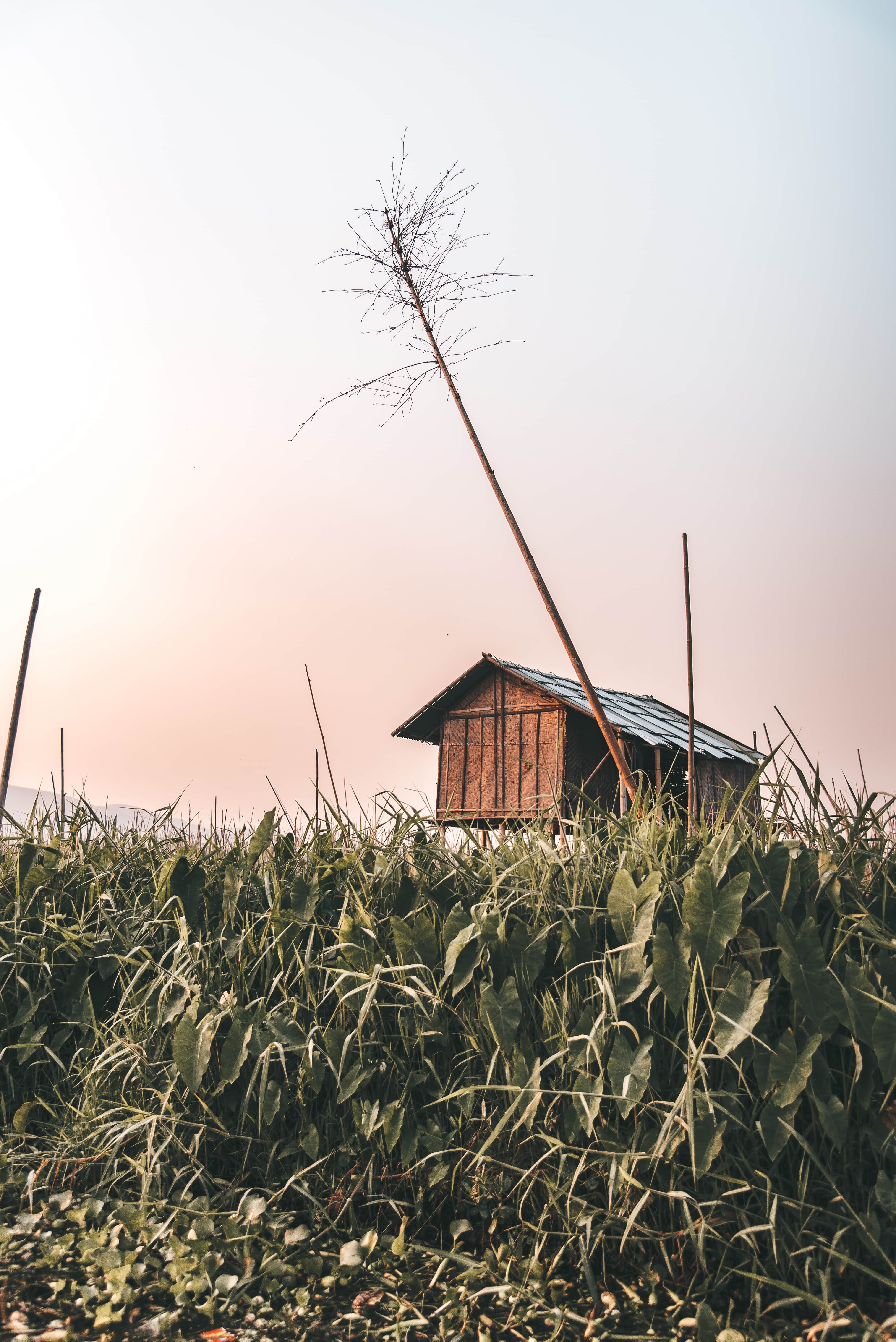 13 Awesome Things to do in Inle Lake (Travel Guide) 5 Things to do in Inle Lake, Inle Lake travel guide
