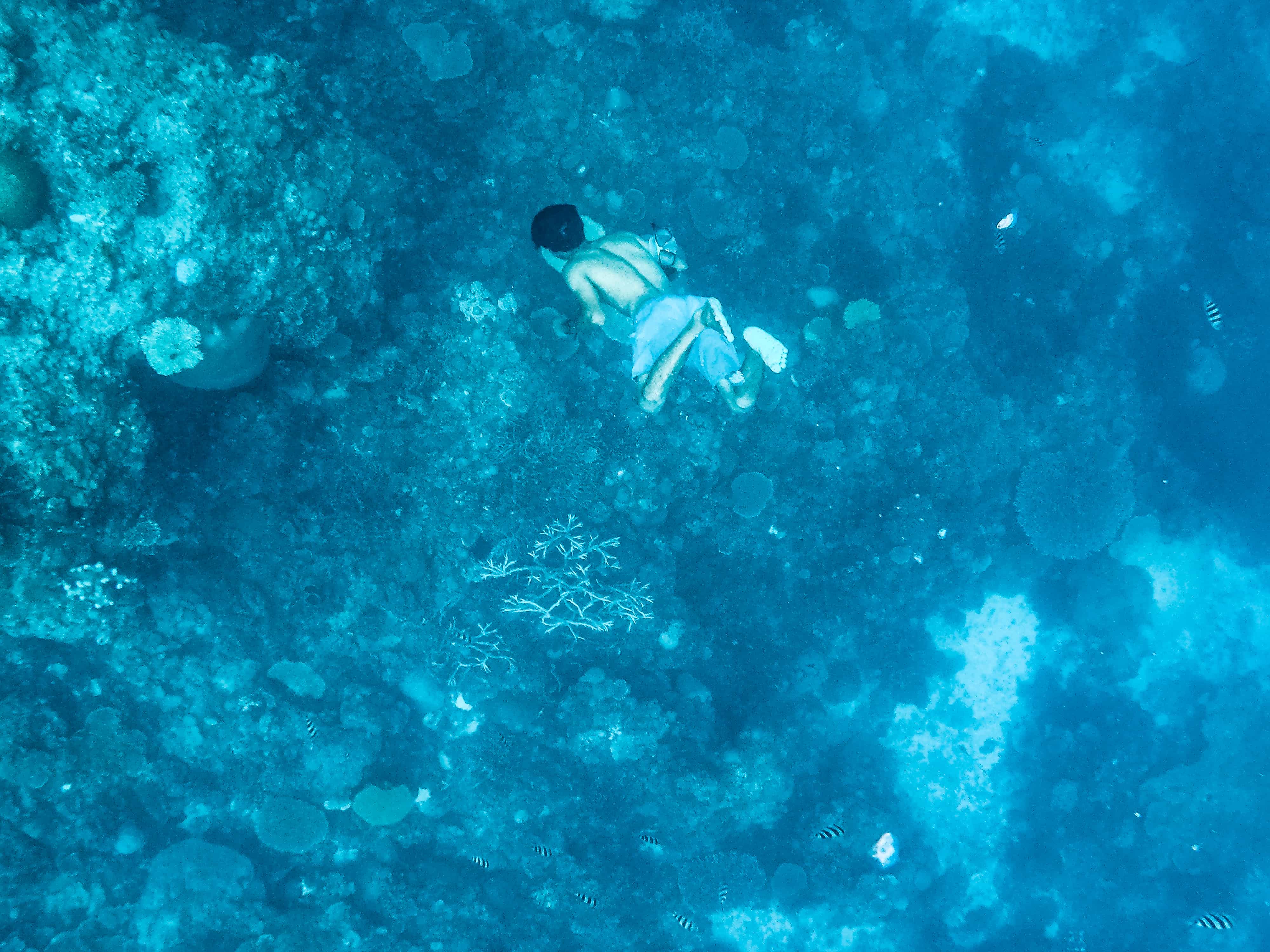 27 Awesome El Nido Tourist Spots (El Nido Travel Guide) 4 snorkeling in the philippines, el nido tourist spots, el nido travel guide
