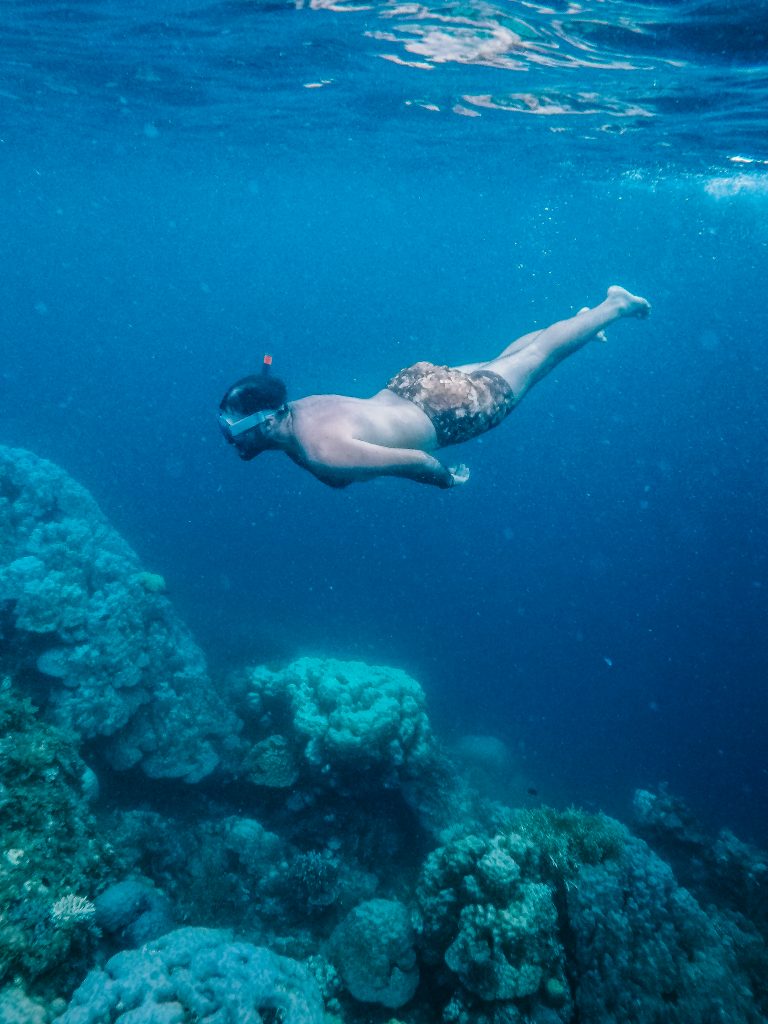 18 Best Samal Island Tourist Spots And Things to do in Samal Island (Travel Guide) 17 Coral Garden Marine Park, Siete Pecados, budget things to do in Australia, snorkeling