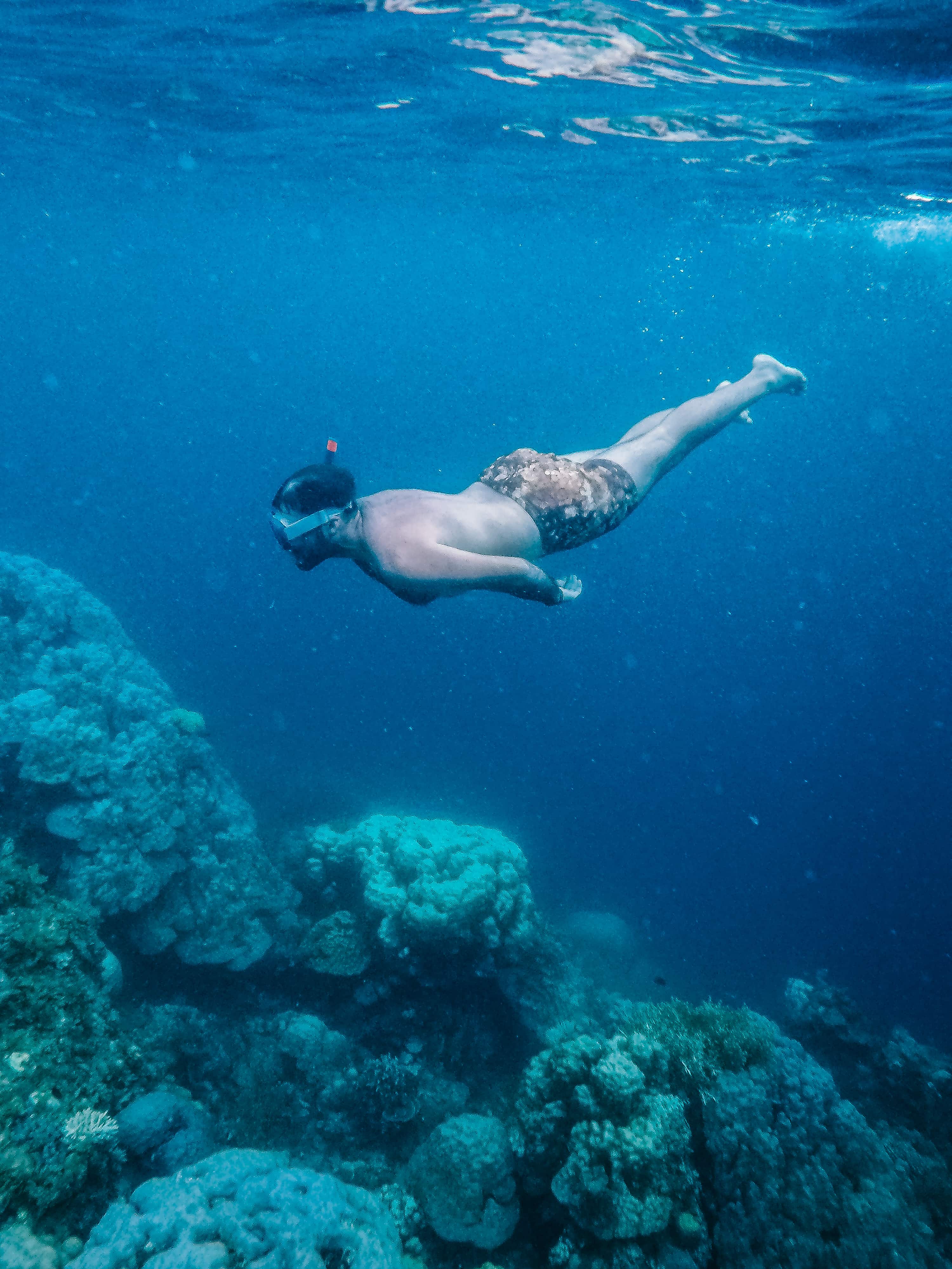 budget things to do in Australia, snorkeling