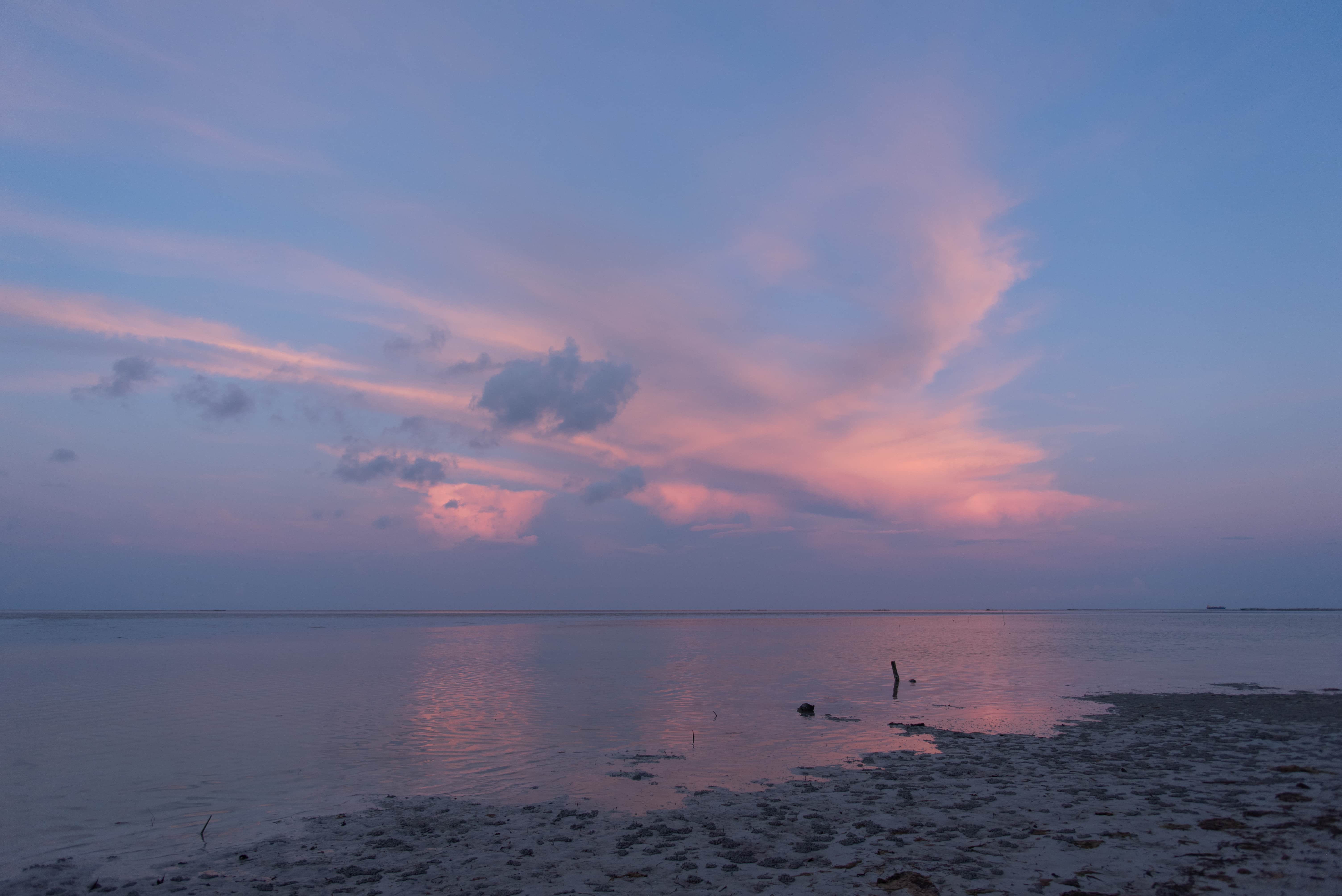 The Conial Puerto Princesa, where to stay in Puerto Princesa, beach in Puerto Princesa