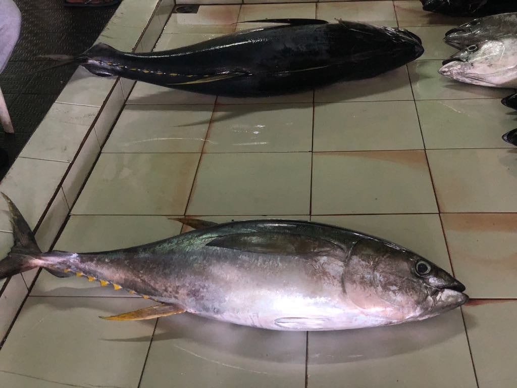 Best Maldives Food: 25 Food in the Maldives You Should Try 35 things to do in Male, Male, Male travel guide, fish market in Male