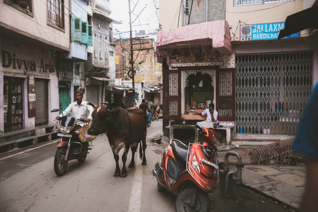 11 Cool Things to do in Udaipur (Travel Guide) 4 Udaipur travel guide, things to do in Udaipur, Udaipur itinerary