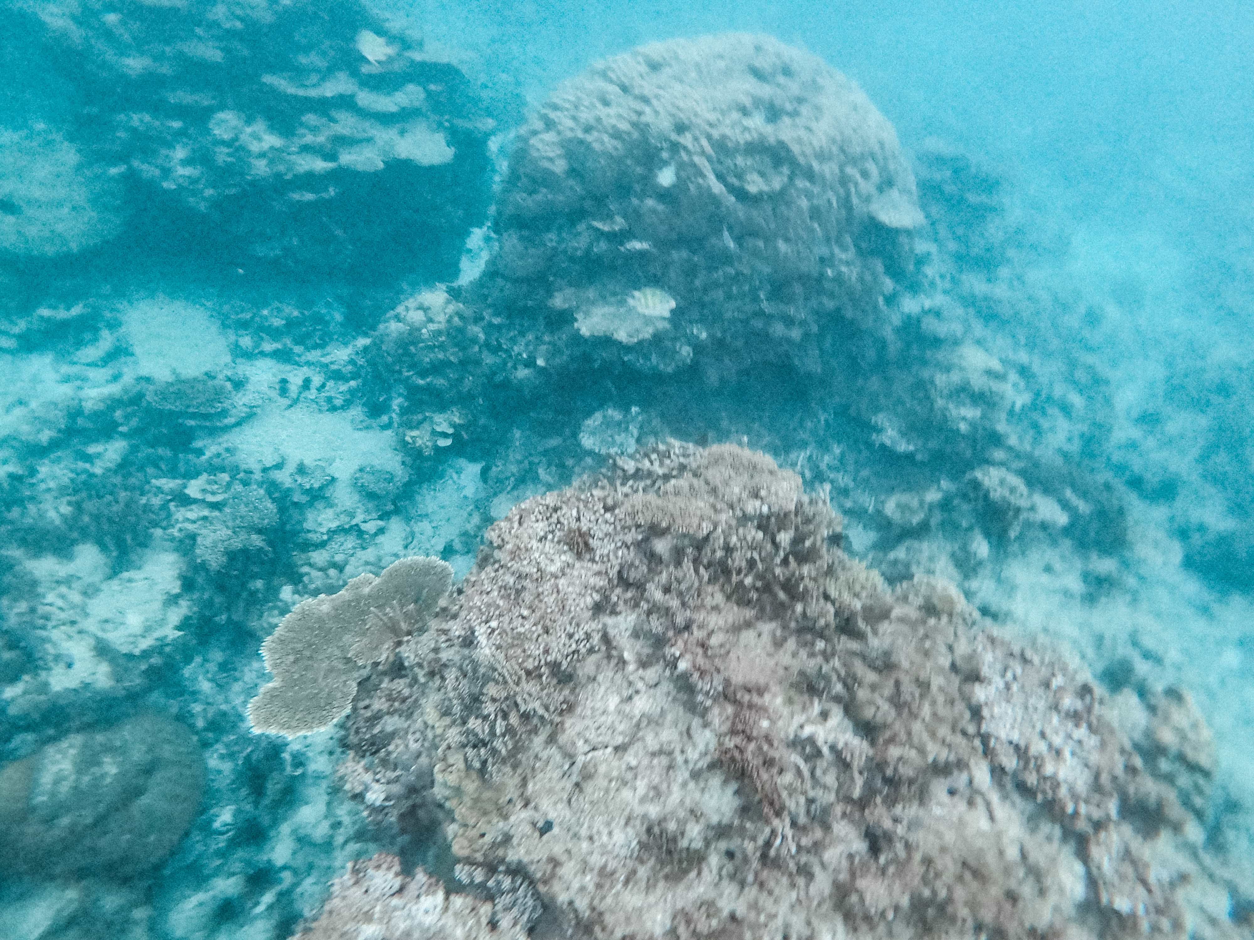 9 Amazing Things to do in Calaguas Island (Travel Guide) 22 Calaguas 0022602