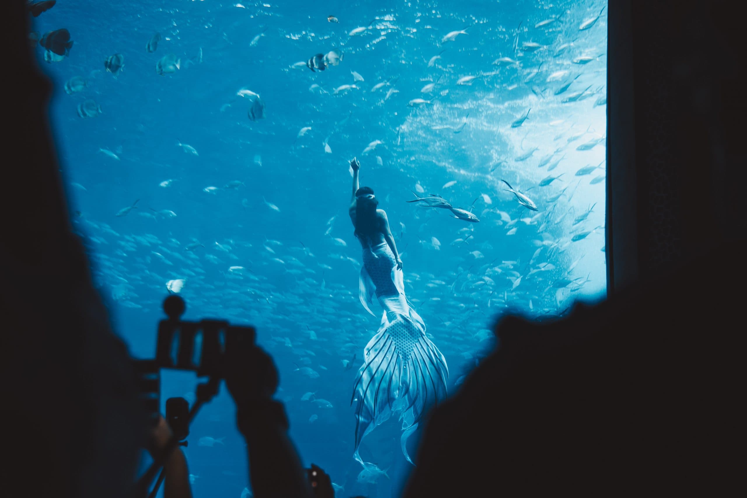 54 Cool Things to do in Sanya (Travel Guide) 76 Atlantis Sanya, where to stay in Sanya