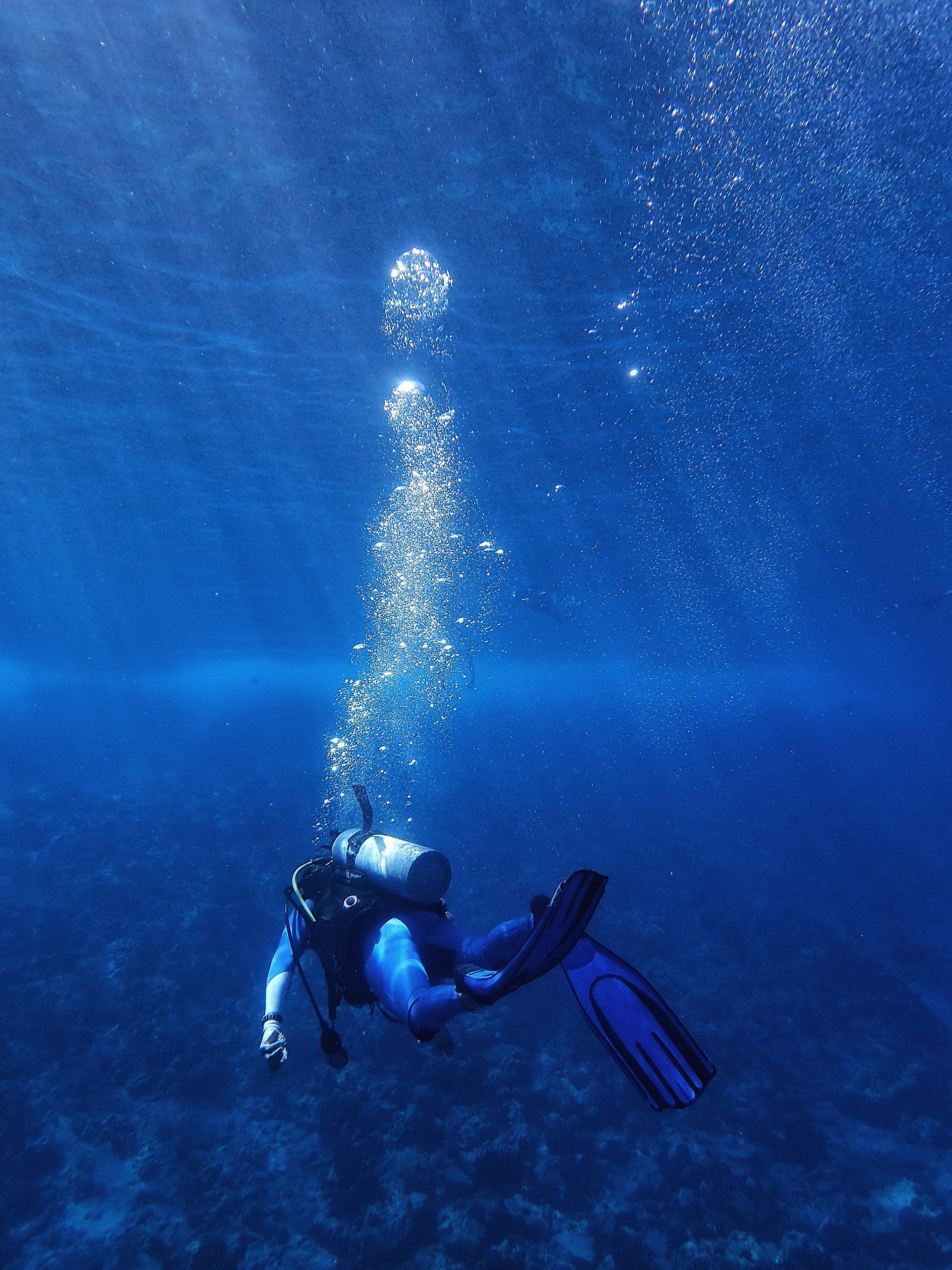 diving in the Philippines, diving in Subic