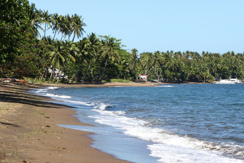 Dumaguete Beaches: Top 10 Best Beaches in Dumaguete 7 Dauin Beach, Best Beaches in Dumaguete
