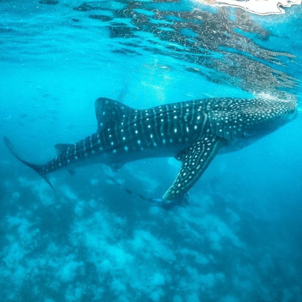 Sorsogon Itinerary: 25 Awesome Sorsogon Tourist Spots And Things to do in Sorsogon (Travel Guide) 3 Sorsogon Tourist Spots And Things to do in Sorsogon