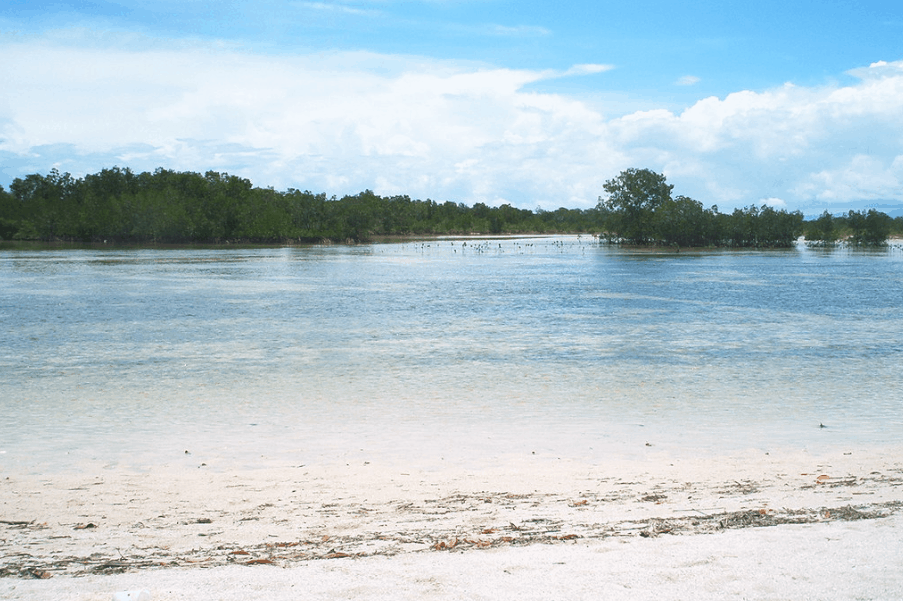 Sorsogon Beaches: 17 Best Beaches in Sorsogon 16 Sorsogon Tourist Spots - Olango Beach, Sorsogon travel guide