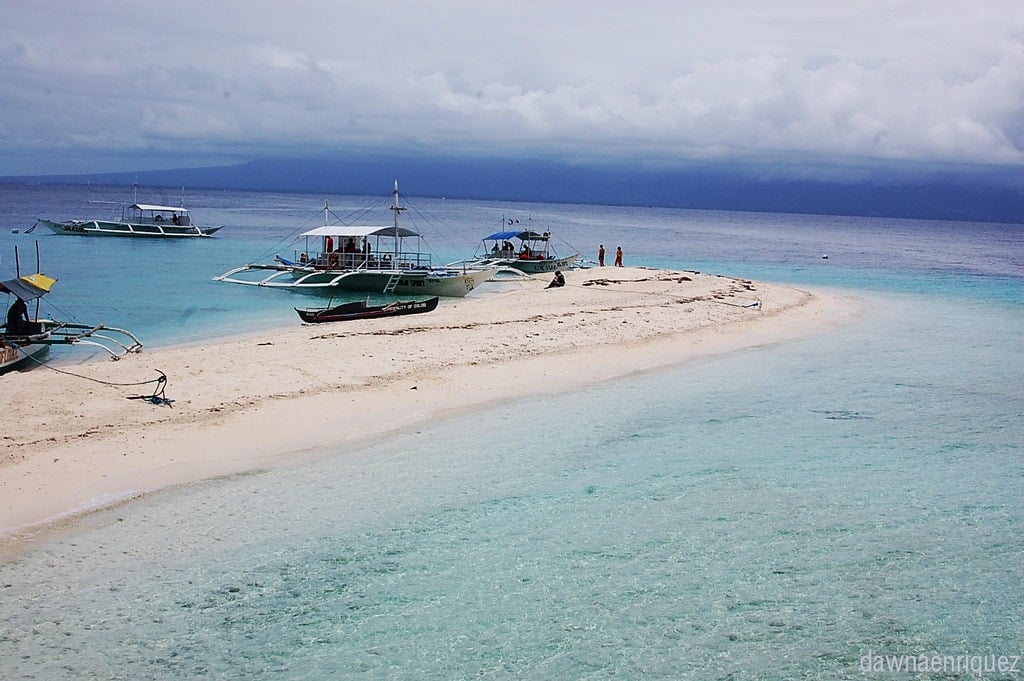 How to get from Cebu to Oslob Best Way 2 cebu to oslob, cebu city to oslob, cebu airport to oslob, cebu to oslob bus, bus fare cebu to oslob
