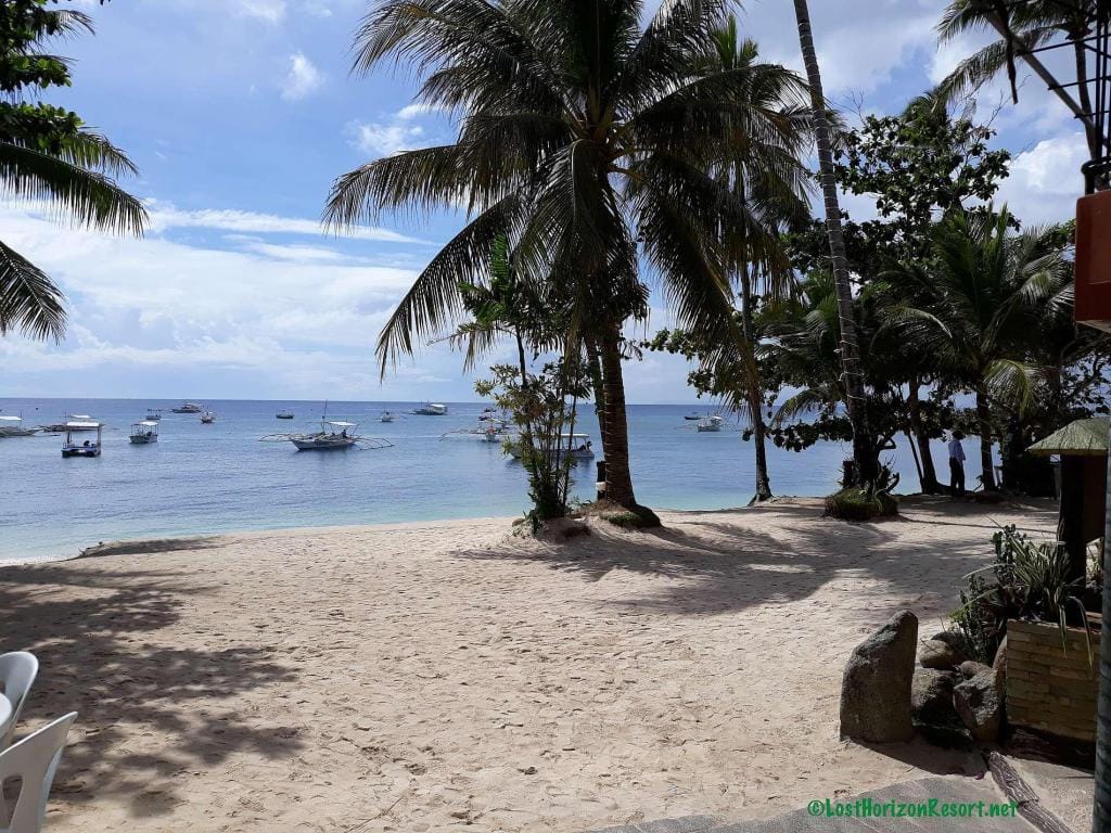 20 Best Beach Resorts in Panglao 23 Lost Horizon Beach Dive Resort,
where to stay in panglao, beach resorts in panglao, panglao hotels, panglao resorts, hotels in panglao, panglao beach resorts