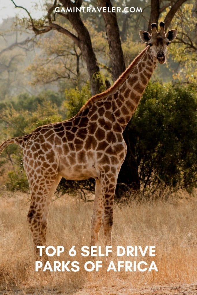 Top 6 Self-Drive Parks of Africa 1 TOP 6 SELF DRIVE PARKS OF AFRICA