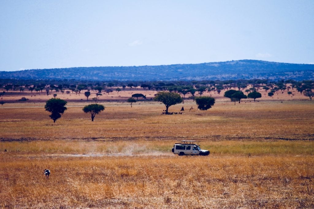 Top 6 Self-Drive Parks of Africa 3 Serengeti National Park, Tanzania, Top 6 Self-Drive Parks of Africa