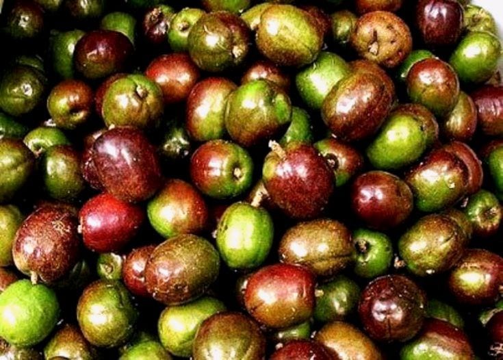 25 Philippine Fruits You Need to Try Before You Leave the Islands 22 Siniguelas,