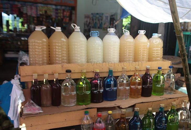 Filipino Drinks: 19 Popular Drinks in the Philippines And Filipino Beers 16 Tuba, filipino drinks, drinks in the philippines, philippines drinks, filipino beers