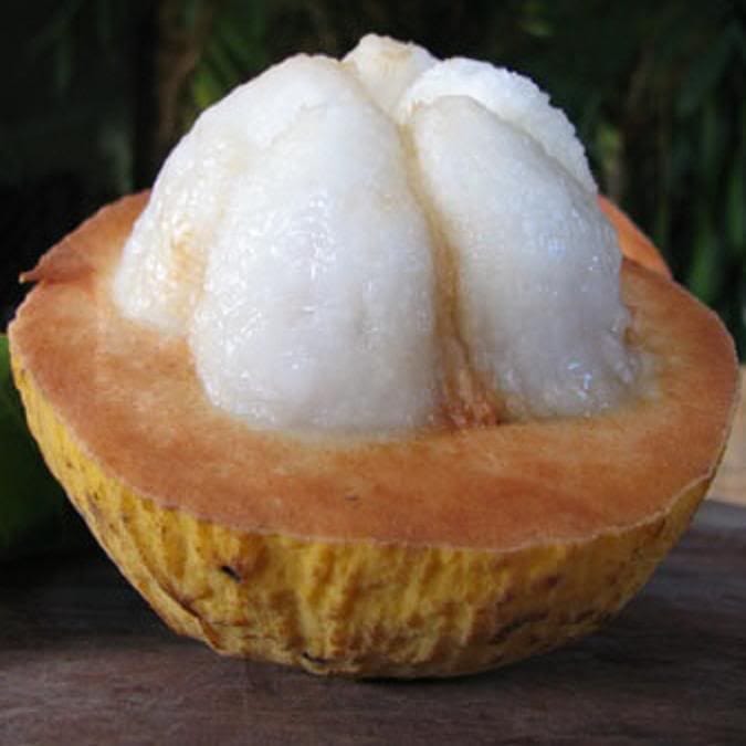 25 Philippine Fruits You Need to Try Before You Leave the Islands 21 Santol,