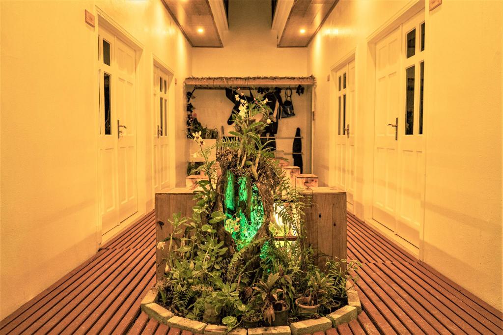 Where to Stay in Maafushi - 15 Best Hotels in Maafushi 11 Water Breeze Hotel at Maafushi, maafushi island, hotels in maafushi, maafushi guest house, maafushi island hotels, maafushi hotels