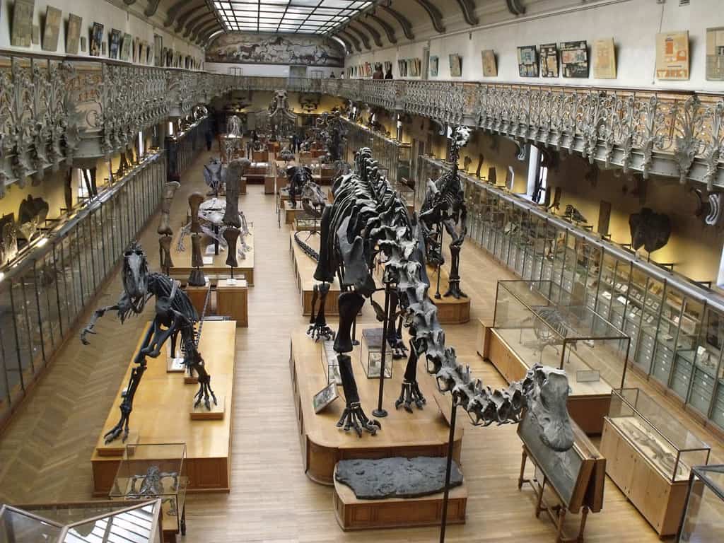 16 Best Chambery Tourist Spots And Things to do in Chambery (Travel Guide) 12 Chambery tourist spots, things to do in Chambery, Musee d'Histories Naturelle