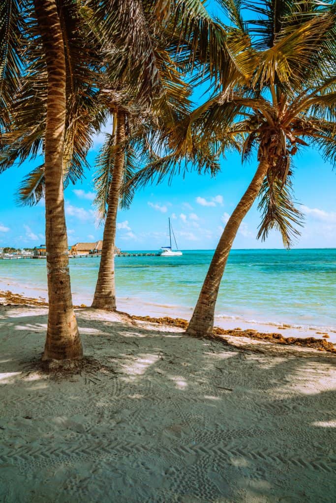 Getting a Belize SIM Card in 2024: Prepaid SIM Card in Belize 2 belize sim card for tourist, belize sim card, belize prepaid sim card, sim card belize, belize tourist sim card, sim card Belize airport, sim card Mexico City airport, cheapest sim card in Belize