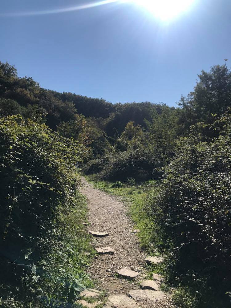 How To Get To Blue Eye in Albania (Travel Guide) 5 blue eye in albania, Blue Eye Saranda, also called Syri I Kalter Albania, Blue Eye Spring Albania
