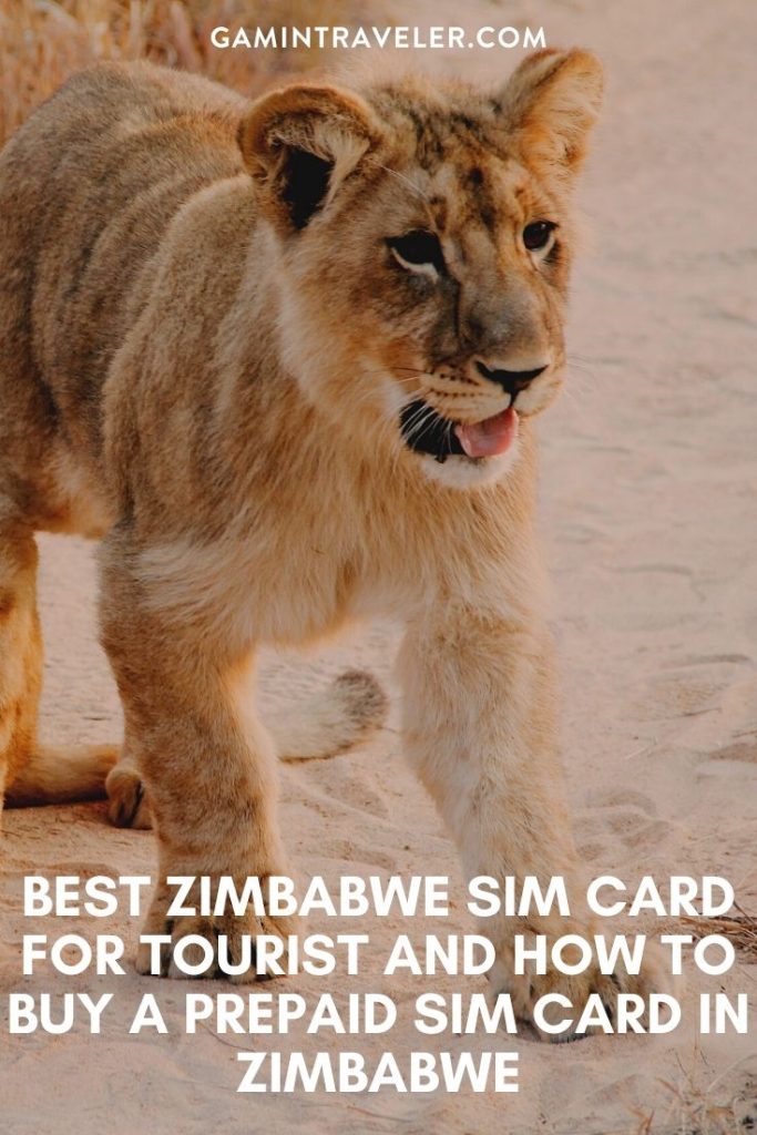 Getting a Zimbabwe SIM Card in 2024: Prepaid SIM Card in Zimbabwe 1 sim card Zimbabwe airport, cheapest sim card in Zimbabwe, best tourist sim card zimbabwe, zimbabwe sim card for tourists, best sim card for zimbabwe, zimbabwe prepaid sim card, zimbabwe sim card for tourist, tourist sim card zimbabwe, prepaid sim card zimbabwe, zimbabwe tourist sim card, sim card in zimbabwe, sim card zimbabwe, zimbabwe prepaid sim card, zimbabwe sim card airport, zimbabwe sim card