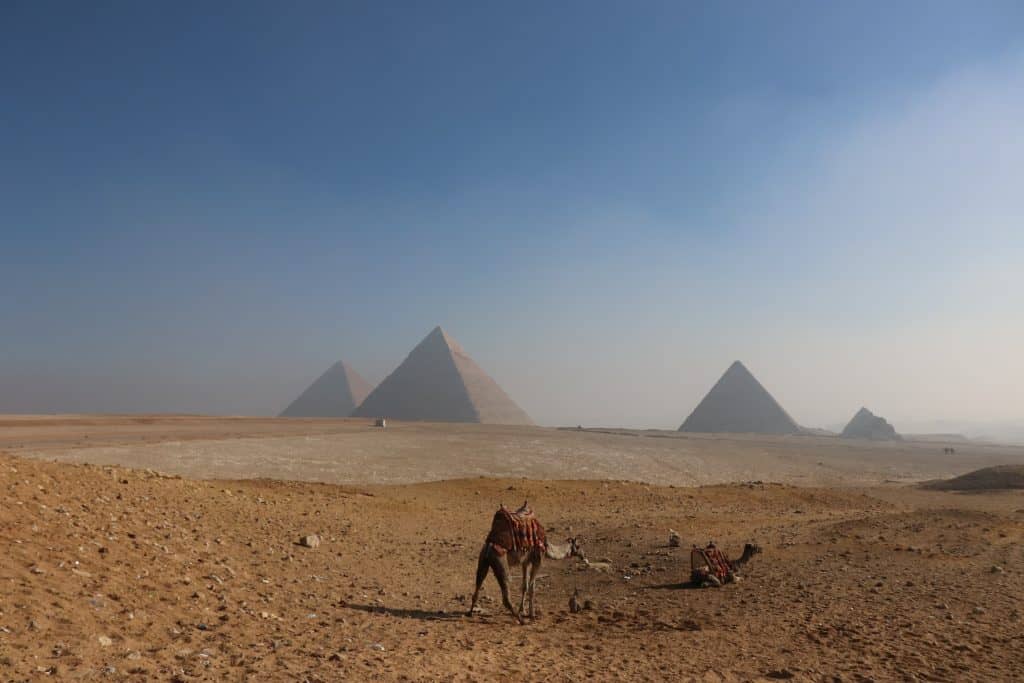 Getting an Egypt SIM Card in 2024: Prepaid SIM Card in Egypt 2 sim card Cairo airport, cheapest sim card in Egypt, prepaid sim card egypt, egypt sim card for tourist, best tourist sim card egypt, egypt sim card for tourists, best sim card for egypt, egypt tourist sim card, Egypt tourist sim card, egypt sim card, Egypt prepaid sim card, sim card Egypt