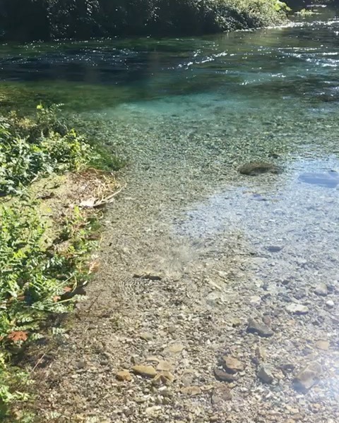 How To Get To Blue Eye in Albania (Travel Guide) 6 blue eye in albania, Blue Eye Saranda, also called Syri I Kalter Albania, Blue Eye Spring Albania