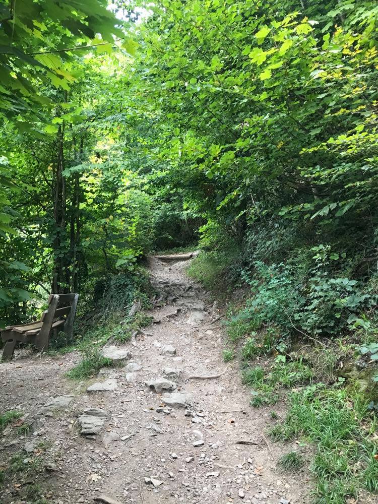 Harder Kulm Hike Travel Guide And Hiking Harder Kulm Step By Step 4 harder kulm, harder kulm funicular, harder kulm tickets, harder kulm opening hours, Harder Kulm Hike, Hiking Harder Kulm