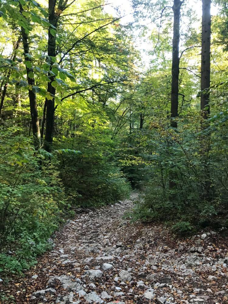 Hiking Lake Bled: Ojstrica Hike How To Do It And The Best Lake Bled Viewpoint 4 lake bled hike, ojstrica hike, the Best View of Lake Bled, The Best Lake Bled Viewpoint